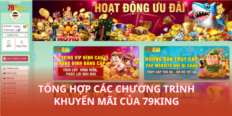 Tổng hợp ưu đãi hot tại 79king com năm 2024 Tổng hợp ưu đãi hot tại 79king com năm 2024