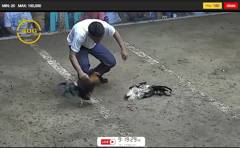 Luật chơi